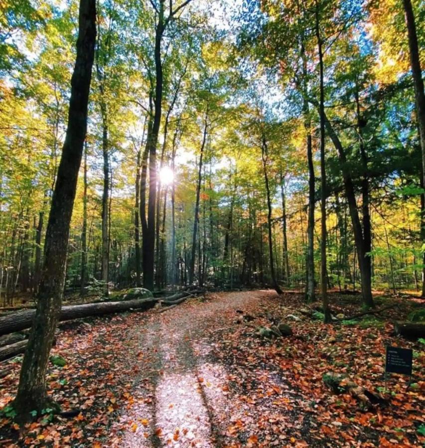 Pet Friendly Condos At Friday Harbour Innisfil Eksteriør bilde